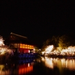 神苑・夜桜風景