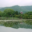 大覚寺　大沢の池　