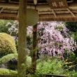 妙心寺　退蔵院庭園2