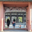 仁和寺　中門からの眺め