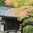 西芳寺庭園7