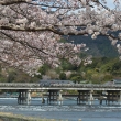 嵐山渡月橋と桜2