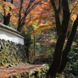 高山寺　石水院の紅葉11