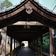 東福寺偃月橋2