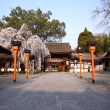 平野神社と灯籠と魁