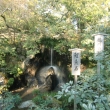 金閣寺　龍門の瀧　鯉魚石