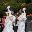 お迎え提灯行列の「鷺舞」の子供たち（島根県）