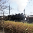 梅小路公園の蒸気機関車
