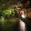 夜の祇園白川