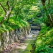 東福寺の洗玉澗で、水音に耳を澄ませる