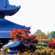 東福寺　紅葉と壮大な屋根