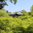 新緑の東福寺　④