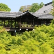 新緑の東福寺　⑦