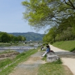 賀茂川と半木の道