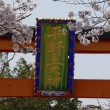 京都平野神社