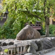 祇園白川の碑