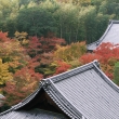 圓光寺を望む　屋根と紅葉