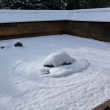 冬の龍安寺方丈庭園4