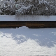 冬の龍安寺方丈庭園7