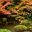 長楽寺庭園の紅葉6