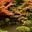 長楽寺庭園の紅葉7