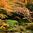 長楽寺庭園の紅葉