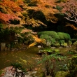長楽寺庭園の紅葉3