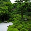 夏の金福寺庭園3