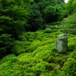 夏の金福寺庭園5