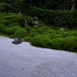 夏の金福寺庭園13