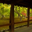 新緑の東福寺6