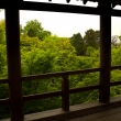 新緑の東福寺8