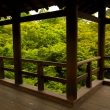 新緑の東福寺12