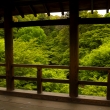 新緑の東福寺15
