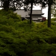 新緑の東福寺19