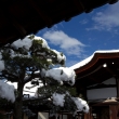 雪景色の仁和寺13