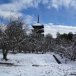 雪景色の仁和寺45