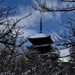 雪景色の仁和寺47