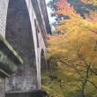 京都市の紅葉（水路閣）