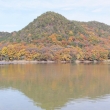 京都市の紅葉（広沢池）