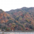 京都市の紅葉（嵐山）
