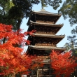 仁和寺五重塔と紅葉