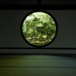 新緑の悟りの窓　