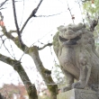 藤森神社 狛犬7