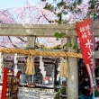 水火天満宮　3月23日の桜2