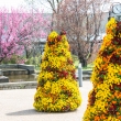 京都府立植物園　花のエントランス