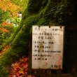 京都愛宕「月輪寺」秋の風景①