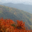 京都愛宕「月輪寺」秋の風景⑦山景色