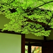 小倉山、軒端の緑葉