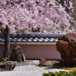 西山桜絵図